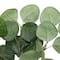 Green Eucalyptus Pick by Ashland&#xAE;